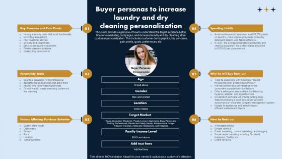 Buyer Personas To Increase Laundry On Demand Laundry Business Plan Themes Pdf