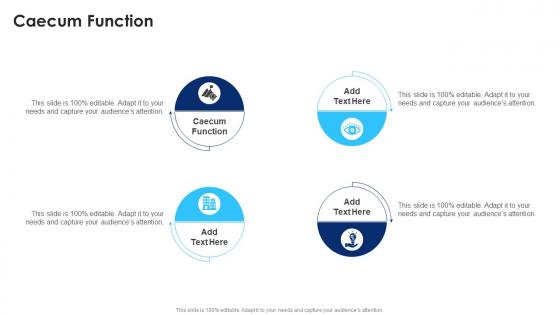 Caecum Function In Powerpoint And Google Slides Cpb