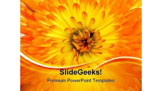 Calendula Background Nature PowerPoint Themes And PowerPoint Slides 0511