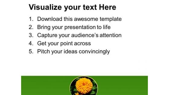 Calendula PowerPoint Templates Ppt Backgrounds For Slides 0413
