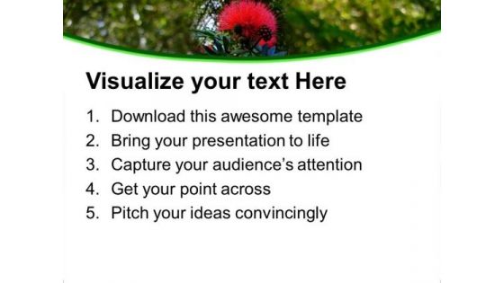 Calliandra Grandiflora Flower Plant PowerPoint Templates Ppt Backgrounds For Slides 0513