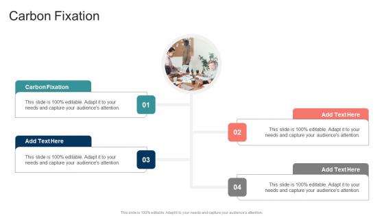 Carbon Fixation In Powerpoint And Google Slides Cpb