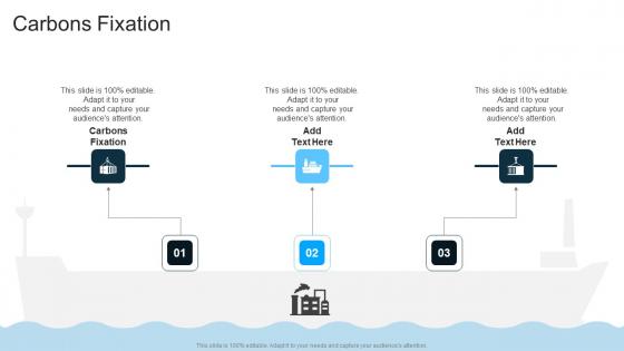 Carbons Fixation In Powerpoint And Google Slides Cpb