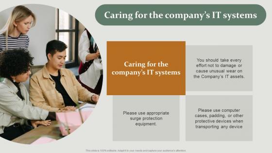 Caring For The Companys It Systems HR Policy Overview Structure Pdf