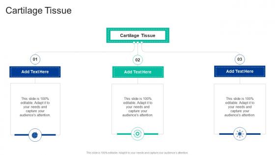 Cartilage Tissue In Powerpoint And Google Slides Cpb