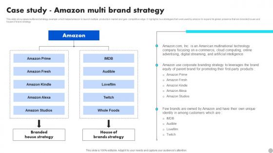 Case Study Amazon Multi Brand Strategy Brand Diversification Approach Mockup Pdf