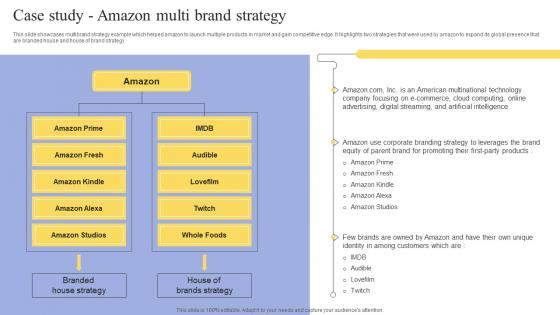 Case Study Amazon Multi Brand Strategy Maximizing Revenue Using Themes Pdf