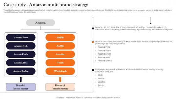 Case Study Amazon Multi Brand Strategy Product Advertising And Positioning Summary Pdf