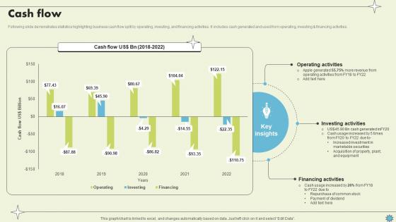 Cash Flow Consumer Electronics Company Profile CP SS V