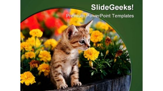 Cat Animal PowerPoint Template 0810