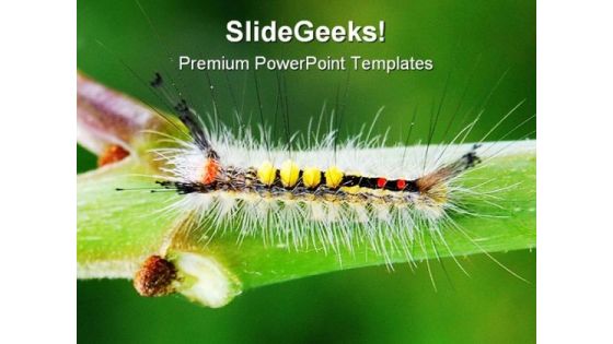 Catapillar Animals PowerPoint Template 0910