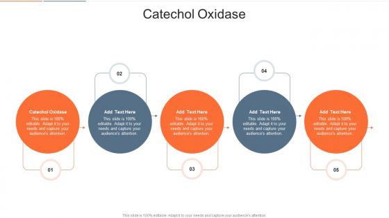 Catechol Oxidase In Powerpoint And Google Slides Cpb