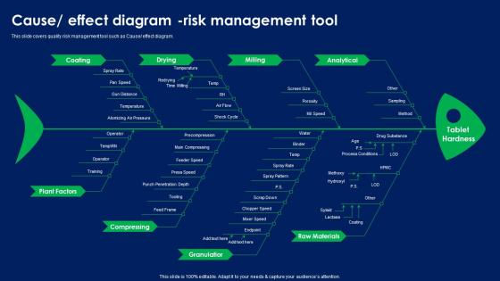 Cause Effect Diagram Risk Management Tool Quality Risk Assessment Summary PDF