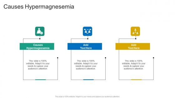 Causes Hypermagnesemia In Powerpoint And Google Slides Cpb