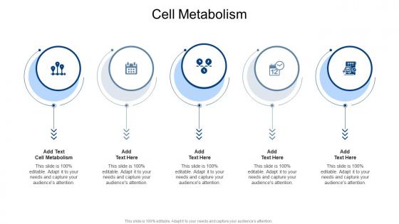 Cell Metabolism In Powerpoint And Google Slides Cpb