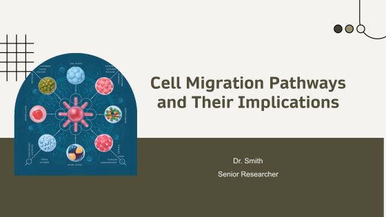 Cell Migration Pathways And Their Implications PPT Structure AT