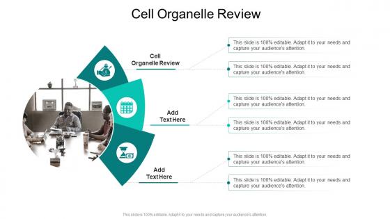 Cell Organelle Review In Powerpoint And Google Slides Cpb