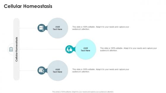 Cellular Homeostasis In Powerpoint And Google Slides Cpb