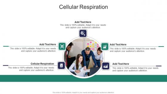 Cellular Respiration In Powerpoint And Google Slides Cpb