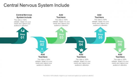 Central Nervous System Include In Powerpoint And Google Slides Cpb