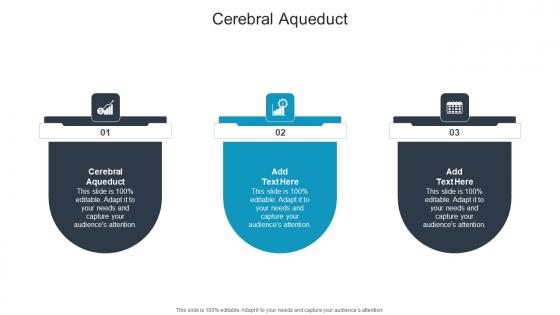 Cerebral Aqueduct In Powerpoint And Google Slides Cpb