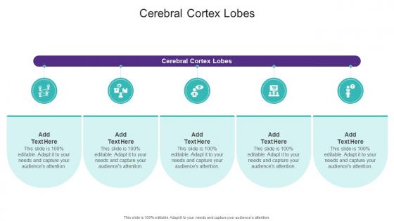Cerebral Cortex Lobes In Powerpoint And Google Slides Cpb