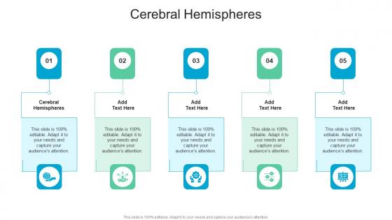 Cerebral Hemispheres In Powerpoint And Google Slides Cpb