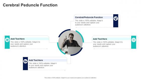 Cerebral Peduncle Function In Powerpoint And Google Slides Cpb