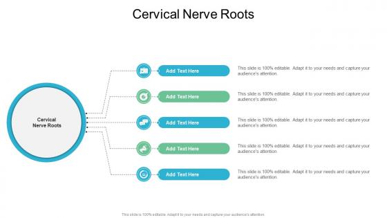 Cervical Nerve Roots In Powerpoint And Google Slides Cpb