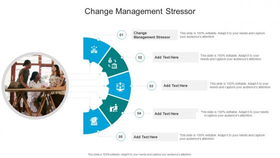 Change Management Stressor In Powerpoint And Google Slides Cpb