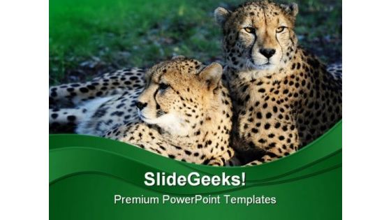 Cheetah Wild Cats Animals PowerPoint Templates And PowerPoint Backgrounds 0211