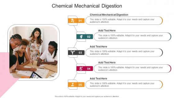 Chemical Mechanical Digestion In Powerpoint And Google Slides Cpb