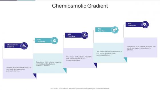Chemiosmotic Gradient In Powerpoint And Google Slides Cpb Chemiosmotic Gradient In Powerpoint And Google Slides Cpb