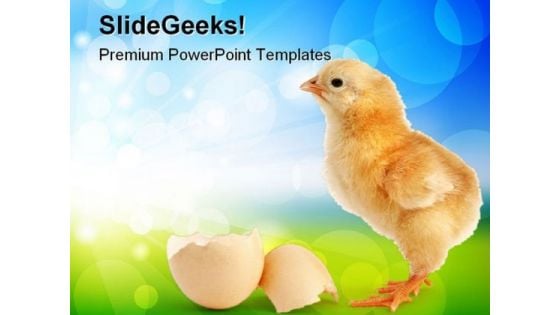 Chick New Born Animals PowerPoint Templates And PowerPoint Backgrounds 0511