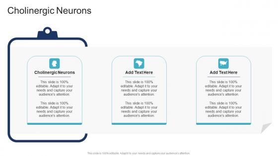 Cholinergic Neurons In Powerpoint And Google Slides Cpb