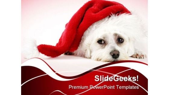 Christmas Pooch Holidays PowerPoint Templates And PowerPoint Backgrounds 0211