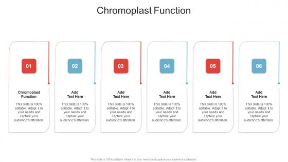Chromoplast Function In Powerpoint And Google Slides Cpb