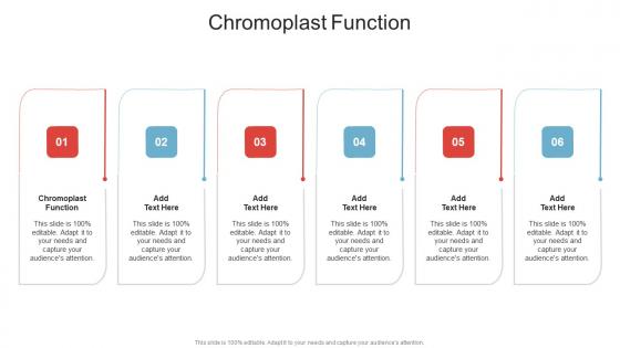 Chromoplast Function In Powerpoint And Google Slides Cpb Chromoplast Function In Powerpoint And Google Slides Cpb
