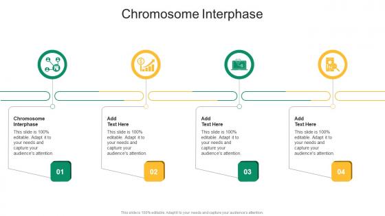 Chromosome Interphase In Powerpoint And Google Slides Cpb Chromosome Interphase In Powerpoint And Google Slides Cpb