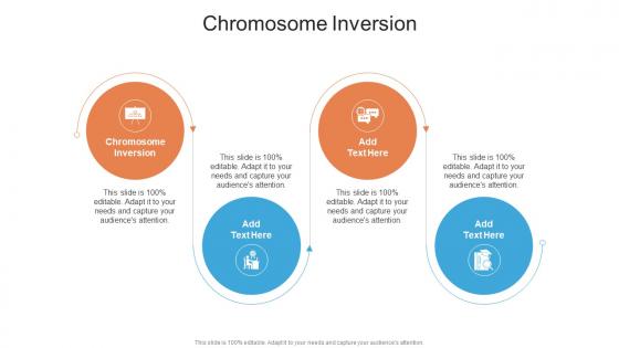Chromosome Inversion In Powerpoint And Google Slides Cpb