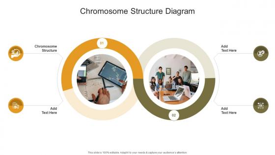 Chromosome Structure Diagram In Powerpoint And Google Slides Cpb