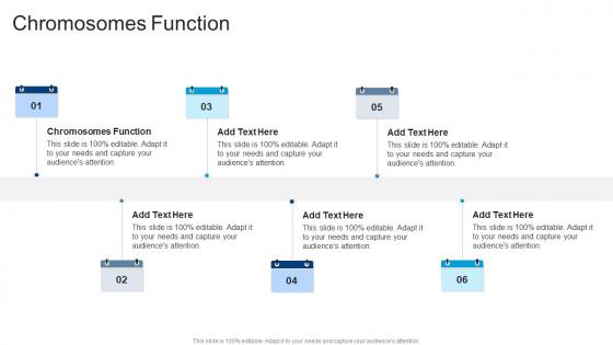 Chromosomes Function In Powerpoint And Google Slides Cpb