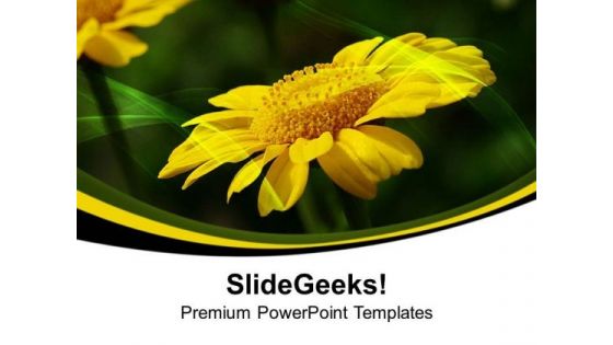 Chrysanthemum Perennial Flowering Plants PowerPoint Templates Ppt Backgrounds For Slides 0513 Chrysanthemum Perennial Flowering Plants PowerPoint Templates Ppt Backgrounds For Slides 0513