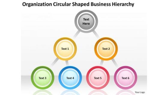 Circular Shaped Business Hierarchy Ppt Plan Consultant PowerPoint Templates