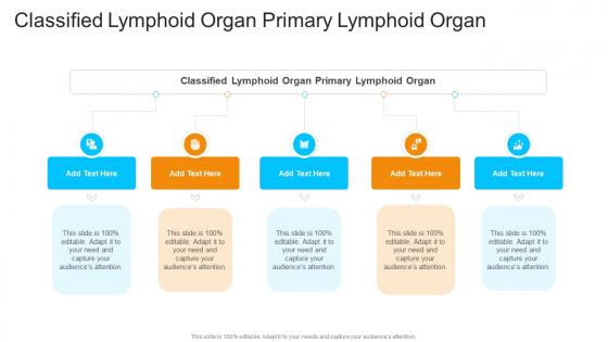 Classified Lymphoid Organ Primary Lymphoid Organ In Powerpoint And Google Slides Cpb