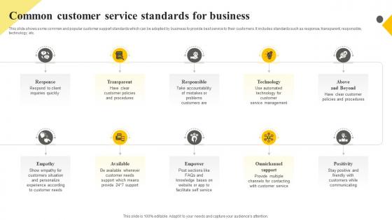 Client Support Plan To Increase Customer Common Customer Service Standards For Business Strategy SS V