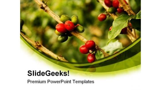 Coffee Plants Nature PowerPoint Templates And PowerPoint Backgrounds 0311
