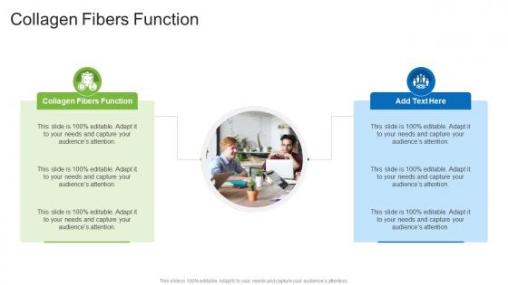 Collagen Fibers Function In Powerpoint And Google Slides Cpb