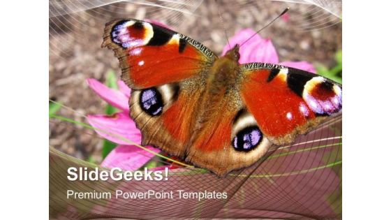 Colored Butterfly Beauty PowerPoint Templates And PowerPoint Themes 0512