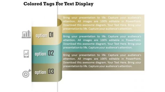 Colored Tags For Text Display Presentation Template